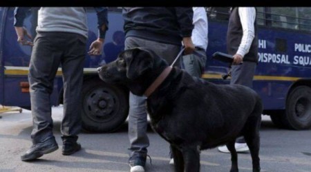 sniffer dogs, punjab news, indian express