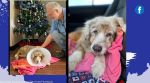 Dog reunited with her family after seven years, dog reunion with family, USA, Texas, Florida, Jazzy dog, Orange County Animal Services, emotional, heartwarming, Facebook, viral, trending, Indian Express