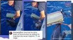 Dolphin entangled in rope rescued, dolphin, marine life, aquatic animals, animal rescue, sea, ocean, viral, trending, Indian Express
