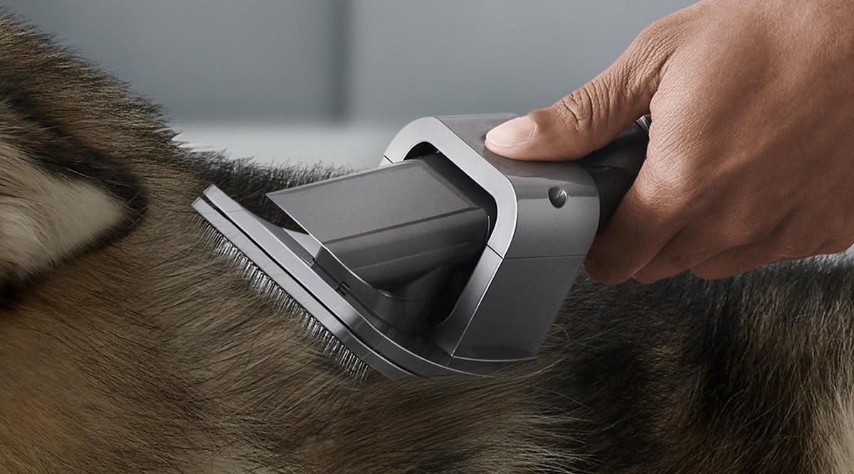 Can Dyson V12 Detect Slim Clean Pet Hair Effectively?