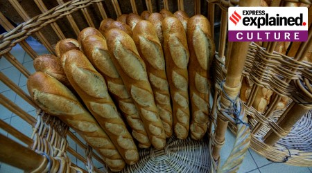 Baguettes in a basket are pictured.