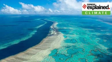 The great barrier reef.