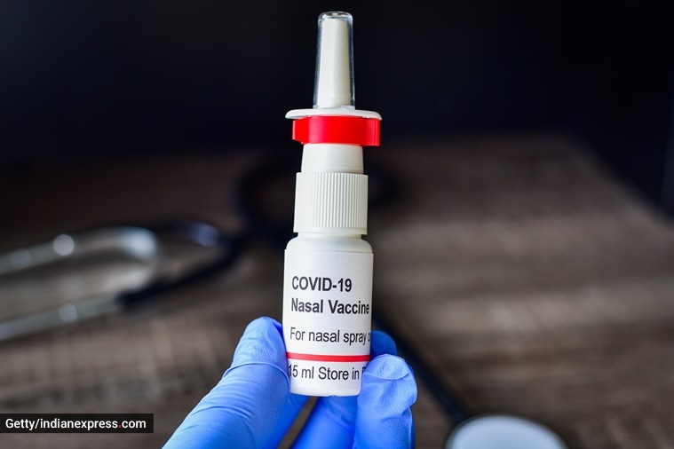 Covid-19, Covid-19 cases, surge in Covid-19, Covid-19 vaccine, Covid-19 vaccines, Covid-19 booster dose, Covid-19 precautionary dose, Covid-19 intranasal vaccine, nasal vaccine, nasal spray for Covid-19, indian express news