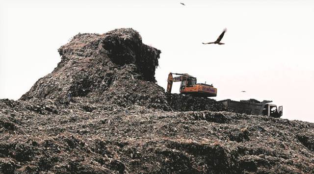 Punjab government claims that Ferozpur, comprising of eight Urban Local Bodies, has cleared its all legacy waste (Representational/File)