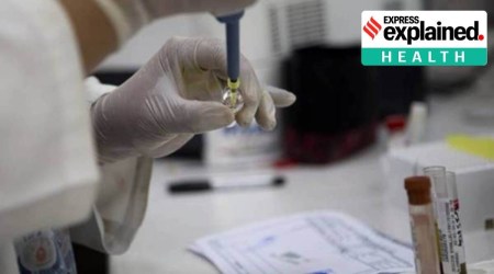 Representational image of a vaccine being prepared for administration.