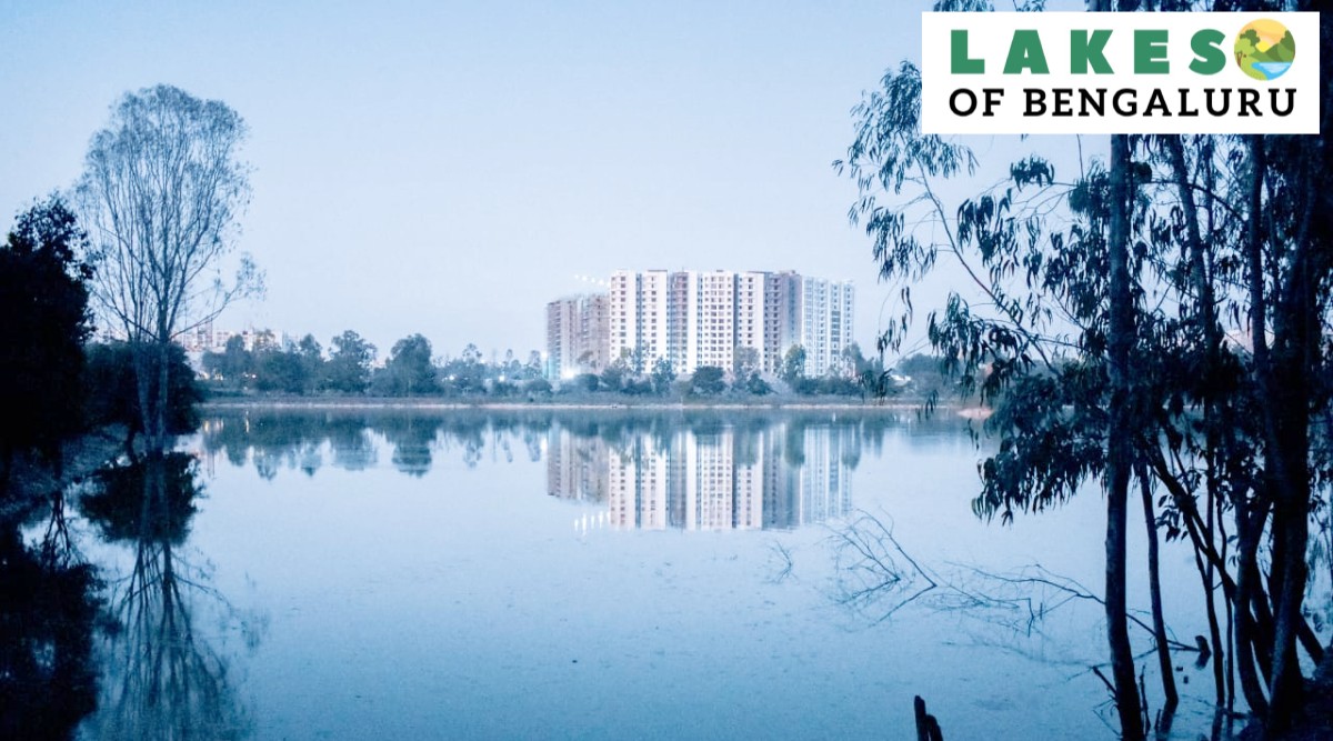 Lakes Of Bengaluru: Back In The Hands Of BBMP, Condition Of ...