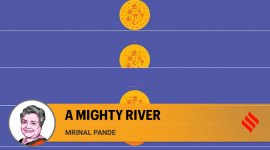 Mrinal Hindutva no alt set