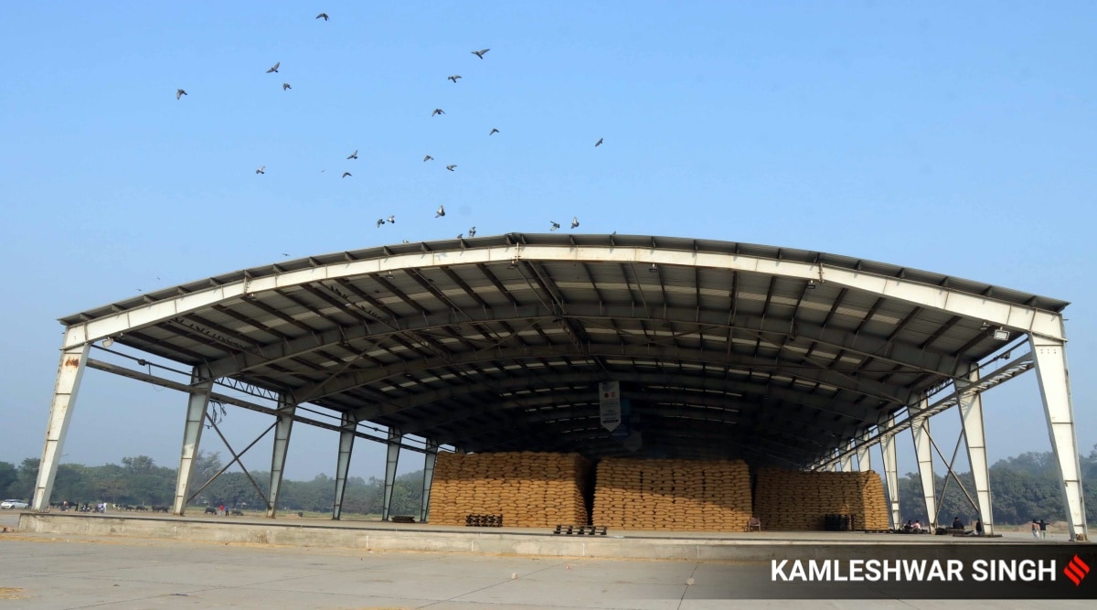 Reserved price, collector rates: Traders of Sec 26 grain market raise  concerns | Chandigarh News - The Indian Express