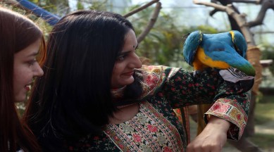 Chandigarh Bird Park