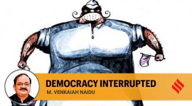 Naidu Opinion no alt set