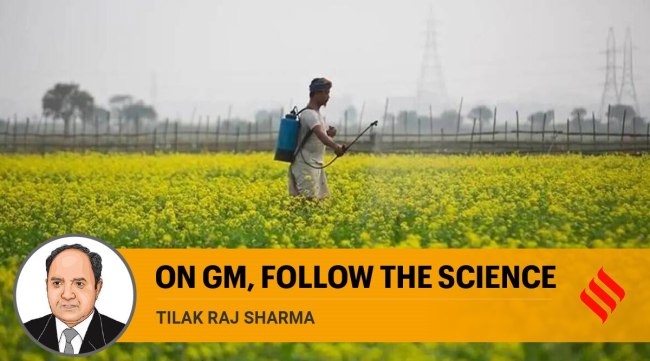 The GM 'Barnase-Barstar' system provides an alternative route for hybridisation in mustard that is robust and addresses the sterility breakdown problems. (Representational Image)
