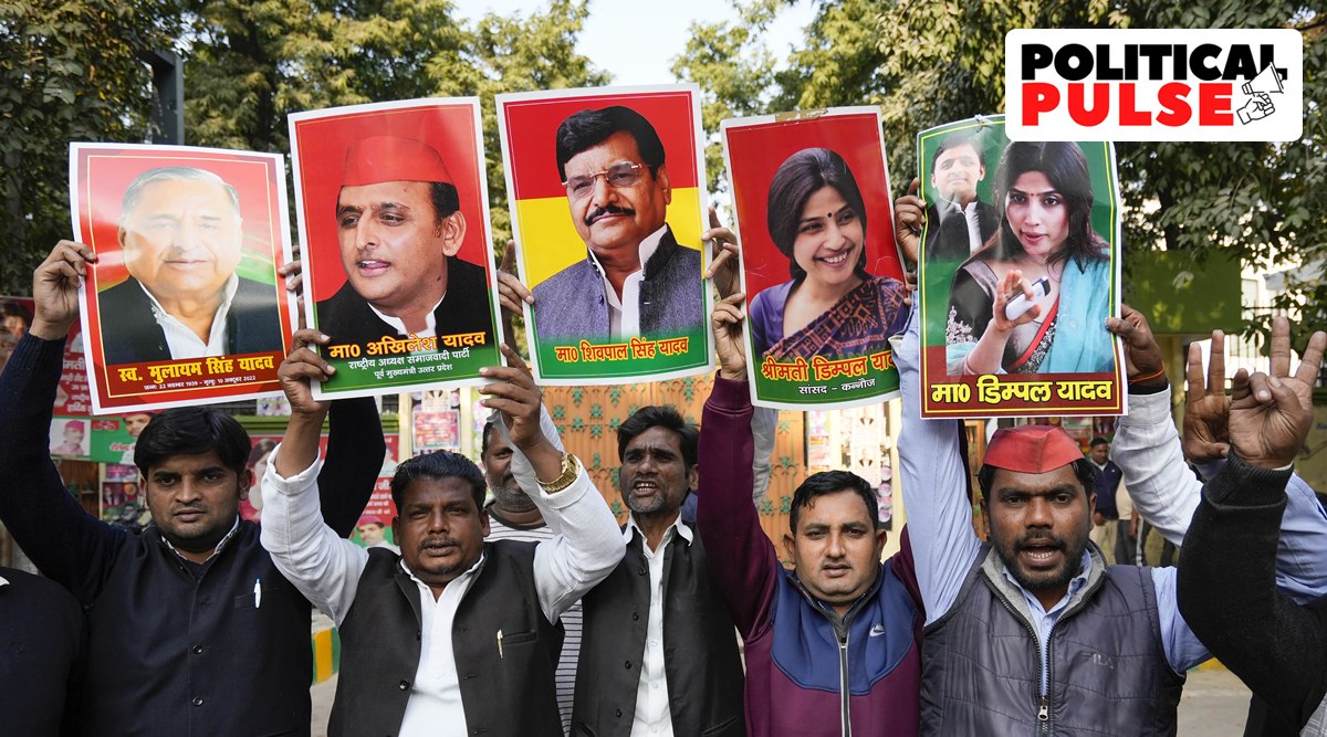 Samajwadi Party workers celebrate party candidate Dimple Yadav's victory in Mainpuri by-election, at party office in Lucknow, on Thursday, December 8, 2022. (PTI Photo)