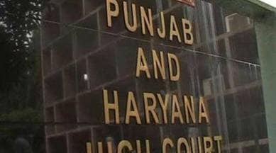 Punjab and Haryana High Court, Punjab and Haryana HC, Punjab Property grab case, Punjab news, Chandigarh, Indian Express, current affairs
