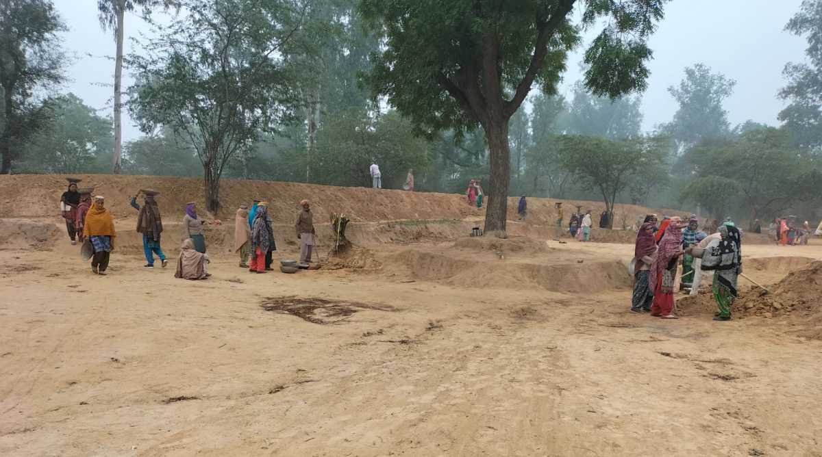 Coming up in Barnala, first man-made wetland of Punjab