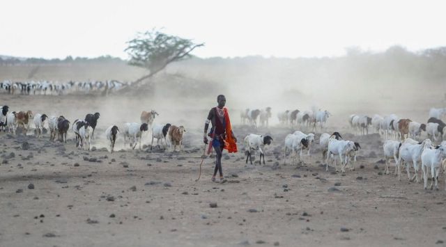 UN climate summit | COP 15