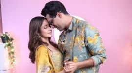 shehnaaz gill, vicky kaushal