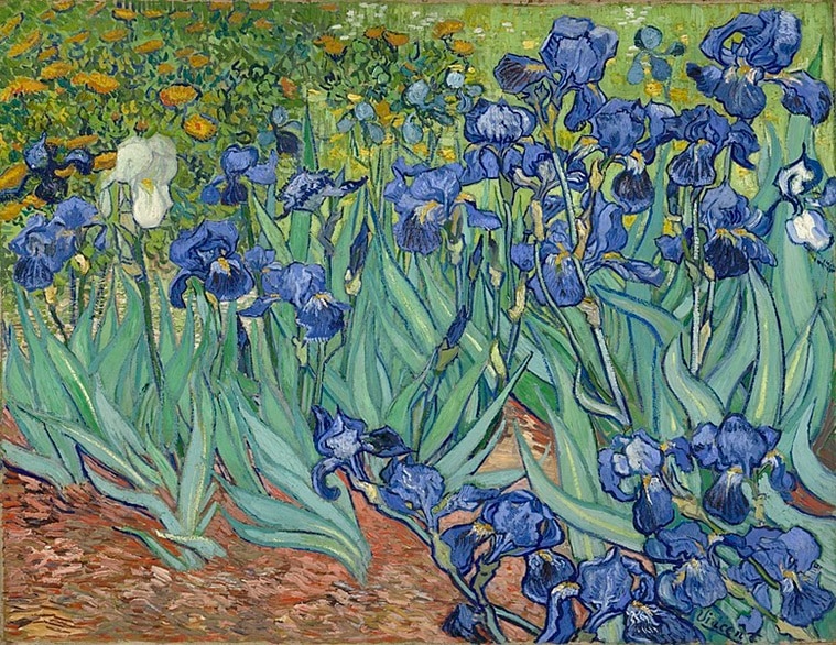 art, artwork, painting, Behind the Art, painting by Vincent van Gogh, Vincent van Gogh paintings, Vincent van Gogh artwork, 'Irises' by Vincent van Gogh, indian express news