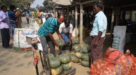 WPI, WPI Data, WPI Inflation, WPI Index