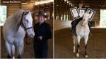 Endo the blind horse world record, blind horse creates three world records, interesting world records, Morgan Wagner horse trainer world record, viral Guinness World Records, indian express