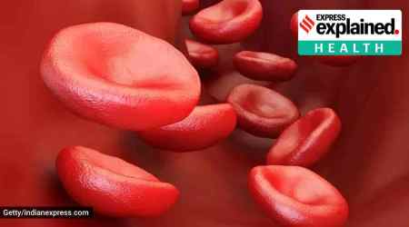 In what has been described by scientists as “the most sophisticated cell engineering to date,” an experimental treatment would provide a new lease of life to patients suffering from incurable blood cancer. (file)