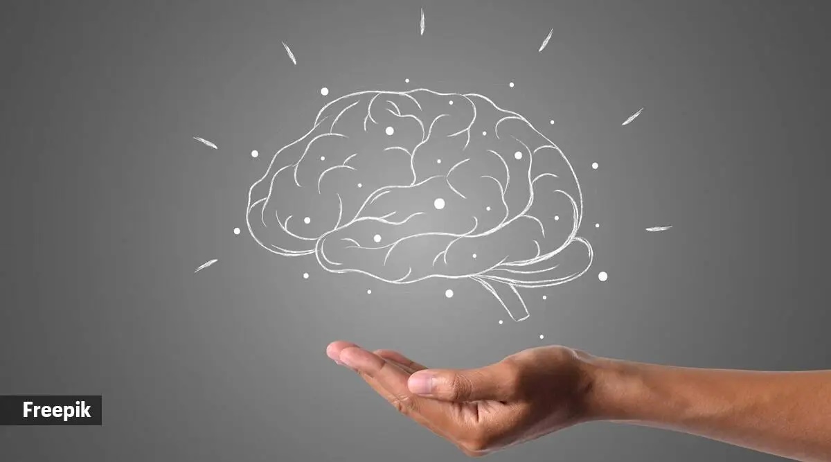 Simple Tasks Don't Test Brain's True Complexity - TMC News