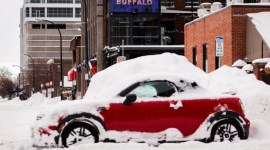 winters, buffalo, deadly blizzard, indian express