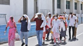 mccresultquery@gmail.com, mcc.nic.in, MCC, NEET SS, NEET SS Counselling, NEET SS Counselling 2022, NEET SS Counselling 2022 provisional allotment list, NEET SS Counselling round 1 provisional allotment list released, NEET SS counselling provisional seat allotment list released