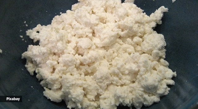 Homemade paneer