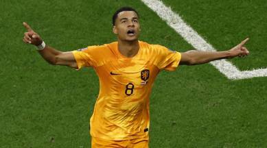 Cody Gakpo, Liverpool, Cody Gakpo Liverpool, Premier League