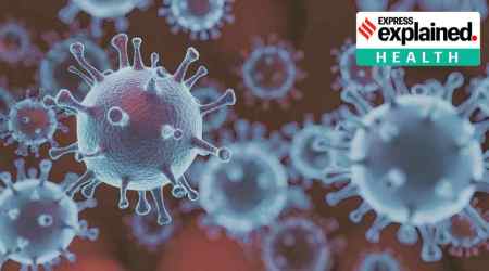 The BF.7 is the same as BA.5.2.1.7, which is a sub-lineage of the Omicron sub-lineage BA.5. (file)