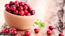 cranberry