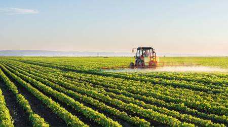 Dharmaj Crop Guard, Dharmaj Crop Guard IPO, IPO Share Allotment