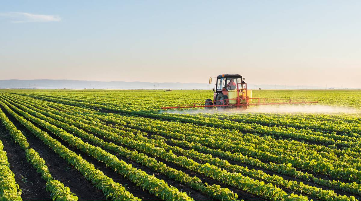 Dharmaj Crop Guard, IPO, GMP, Share Price, Listing Date