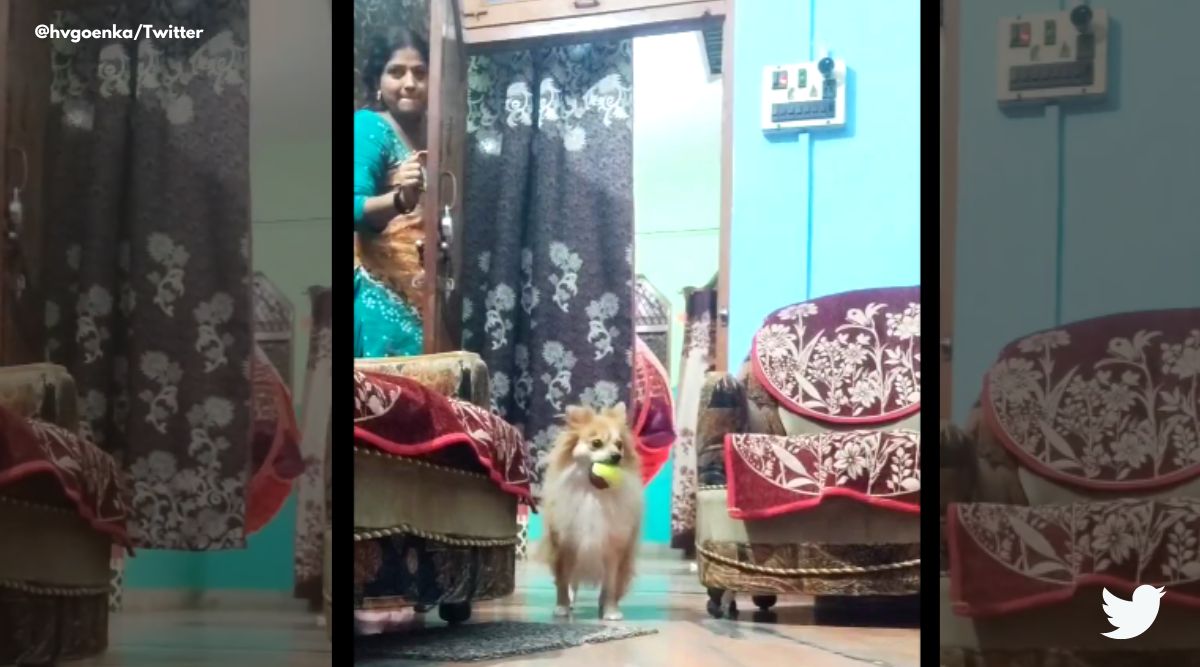 Foreign Dog Sex Video - This video of a woman playing hide and seek with her dog is the cutest  thing on the internet | Trending News - The Indian Express