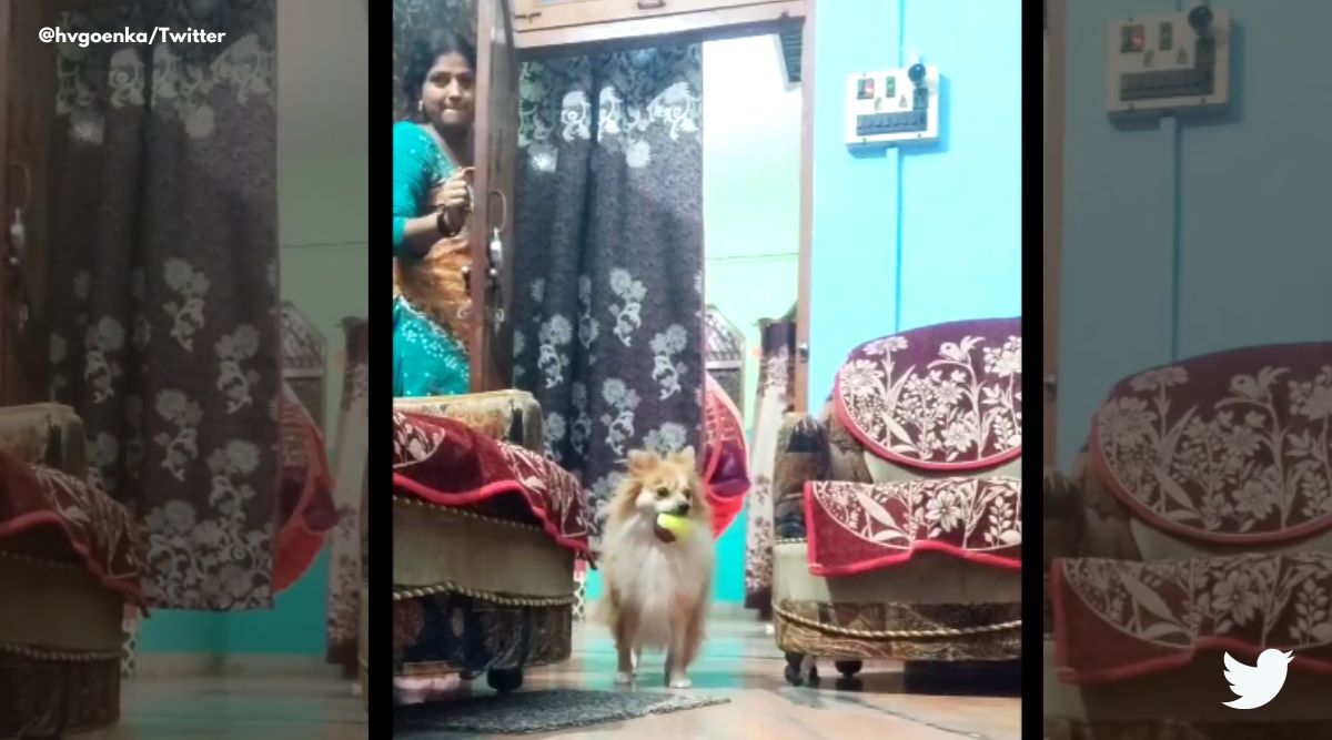 Dog Gairl Sixvideo - This video of a woman playing hide and seek with her dog is the cutest  thing on the internet | Trending News,The Indian Express