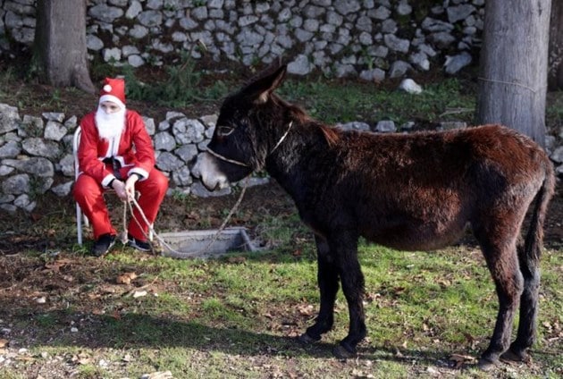 christmas, santa clause, December 25, holidays, christmas 2022, merry christmas, reuters, indian express, lifestyle