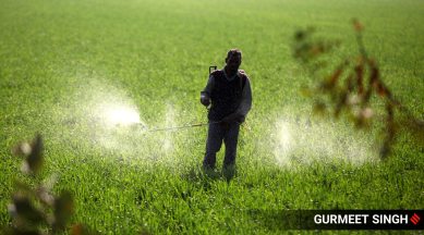 fertilisers gujarat