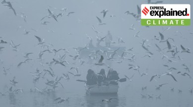foggy winter delhi