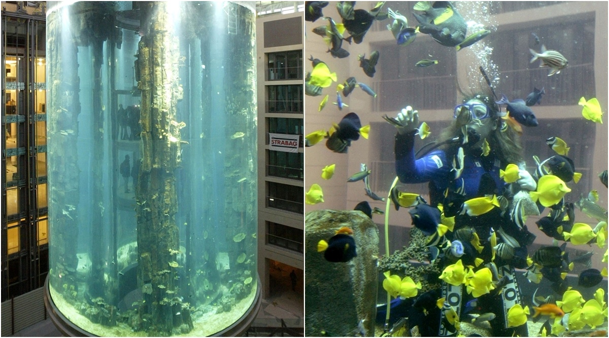Huge Berlin aquarium, 1,500 tropical fish, bursts | News,The Indian