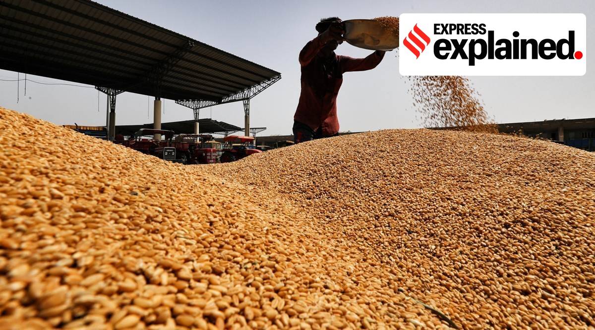 food subsidy, express explained, govt subsidy bill, fuel subsidy, fertiliser subsidy, indian express