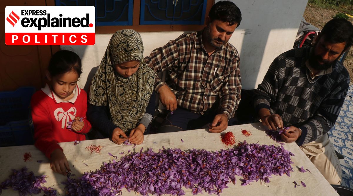 jammu kashmir id card