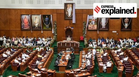 Karnataka legislative assembly