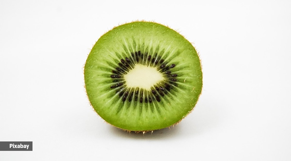 kiwi