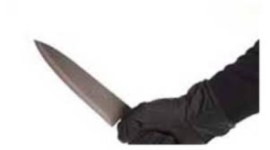 chandigarh crime news, indian express