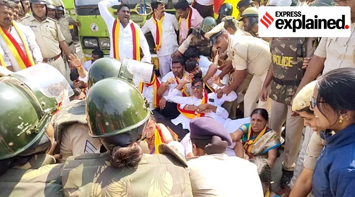 Police detain Karnataka Rakshana Vedike supporters at Hirebagewadi in Belagavi on Tuesday. (Photo: ANI)