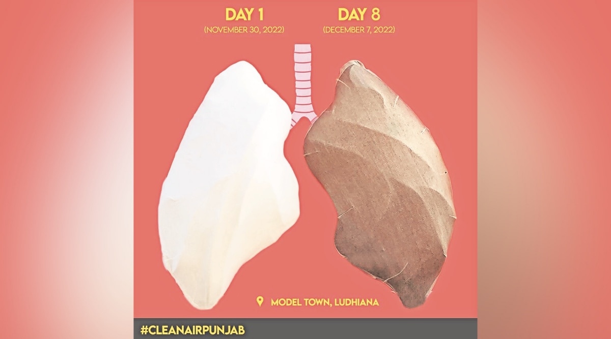 Ludhiana’s ‘breathing billboard’ turns black in nine days, raise questions over air quality