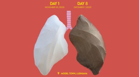 All it took was just nine days for the giant pair of faux lungs installed at a busy junction of Ludhiana on November 30 to turn dark black from chalk white.