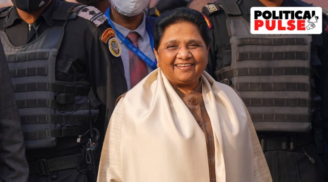 Mayawati is personally meeting those seeking ticket for the seats of mayor in municipal corporations, chairpersons in nagar palika parishads and nagar panchayats, and for corporators of municipal corporations, sources said. (PTI)