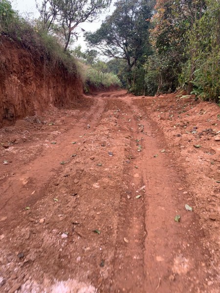 Mud roads built inside Karnataka’s Moorkannugudda forest, senior ...