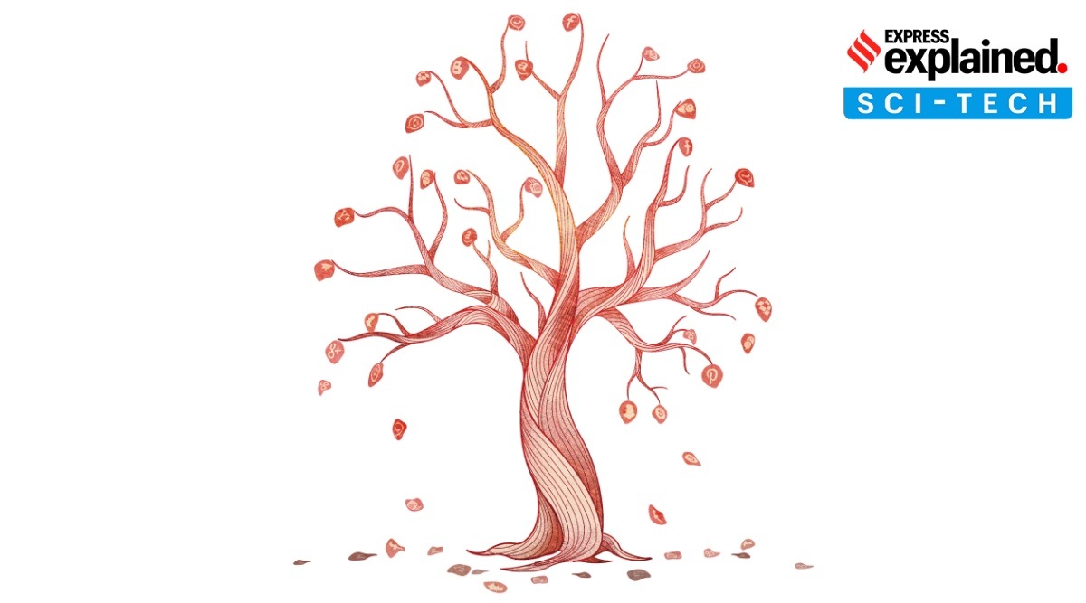 Explained Sci-Tech, Social media, Social media platforms, artificial intelligence, Metaverse, 5G services, Explained, Indian Express Explained, Opinion, Current Affairs